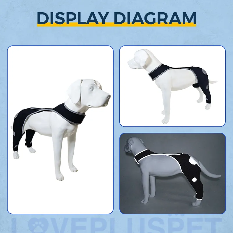 Dog's hind legs lick muzzle