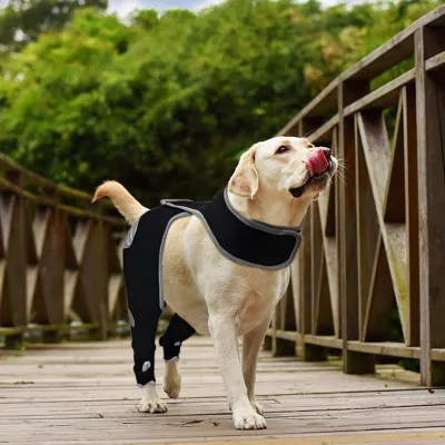 Licking Sleeve for Dogs Hind Leg 02