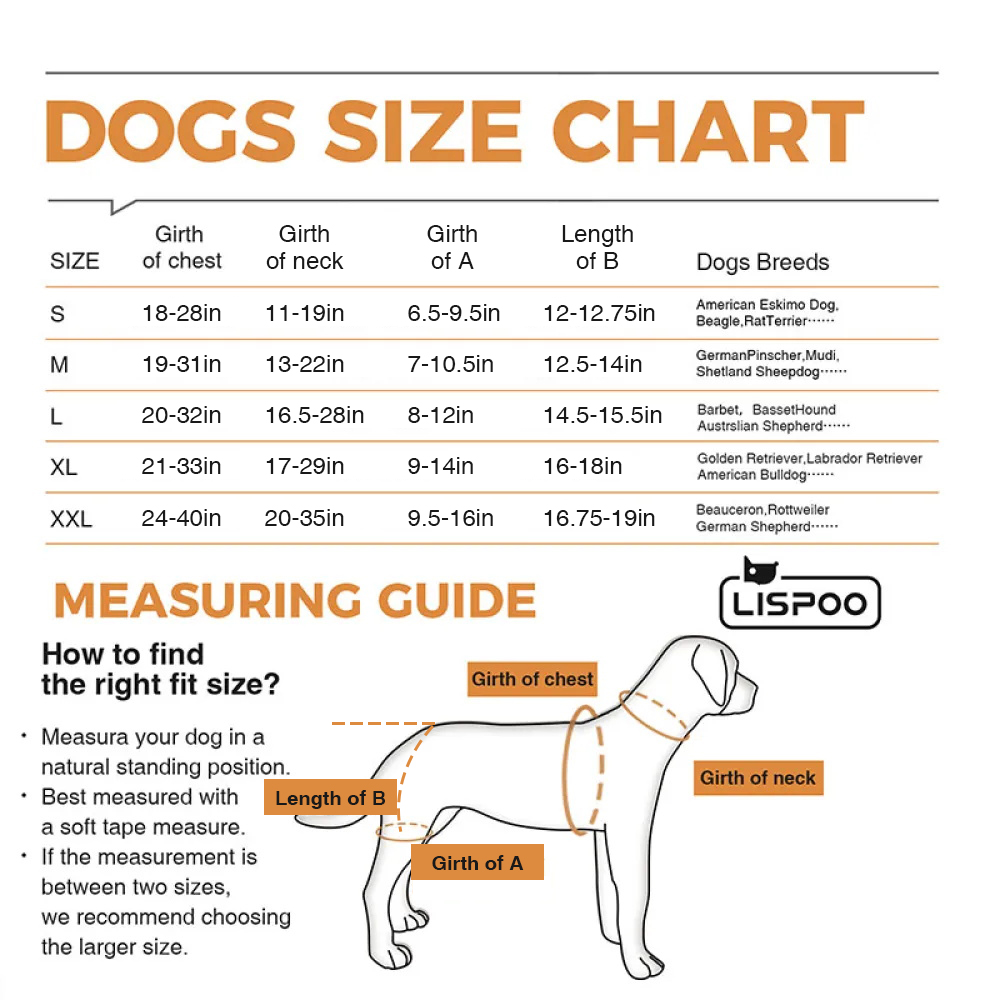 Hip braces for dogs with hip dysplasia