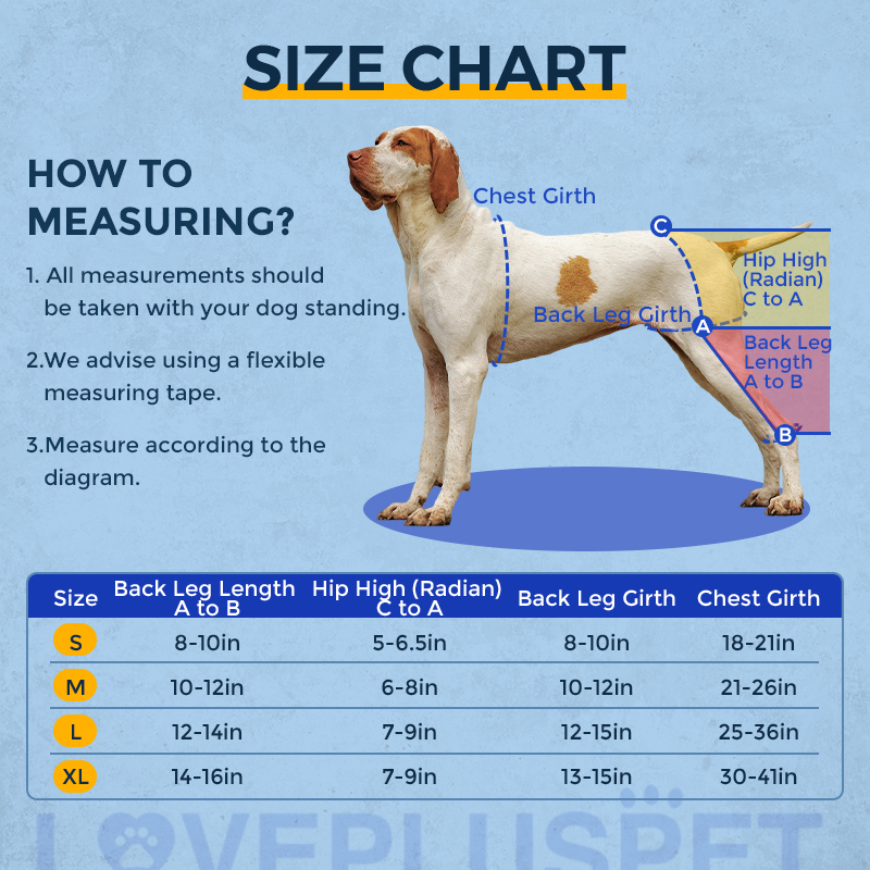 Dog Knee Brace for Back Leg Torn CCL