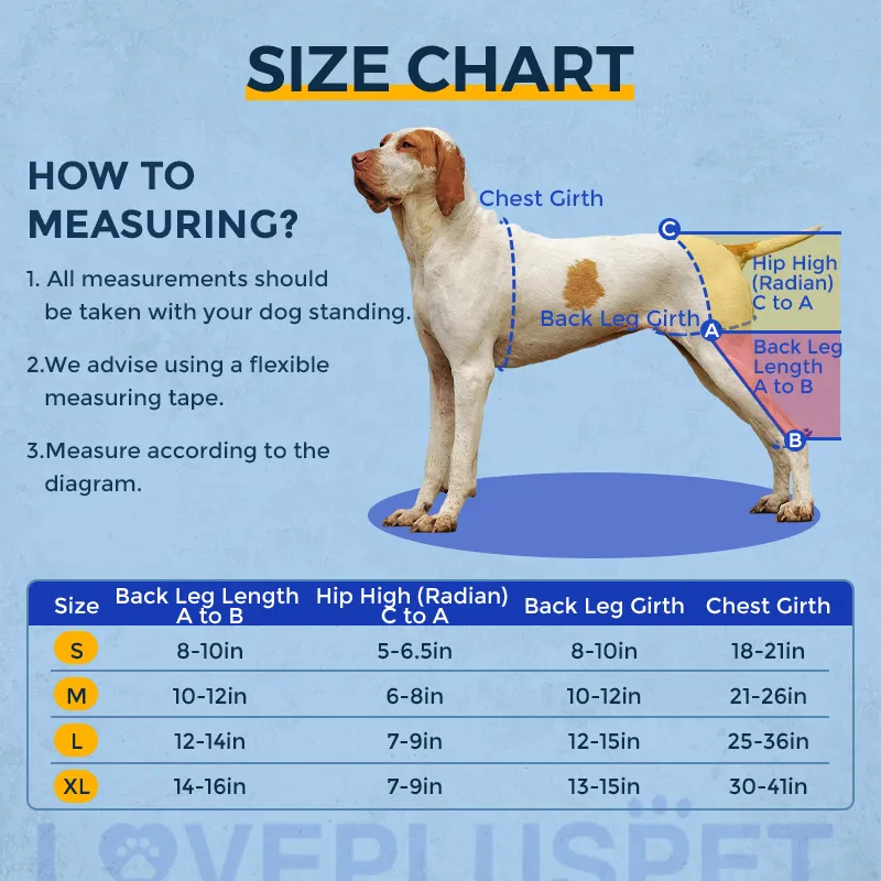 Dog Knee Brace for Back Leg Torn CCL