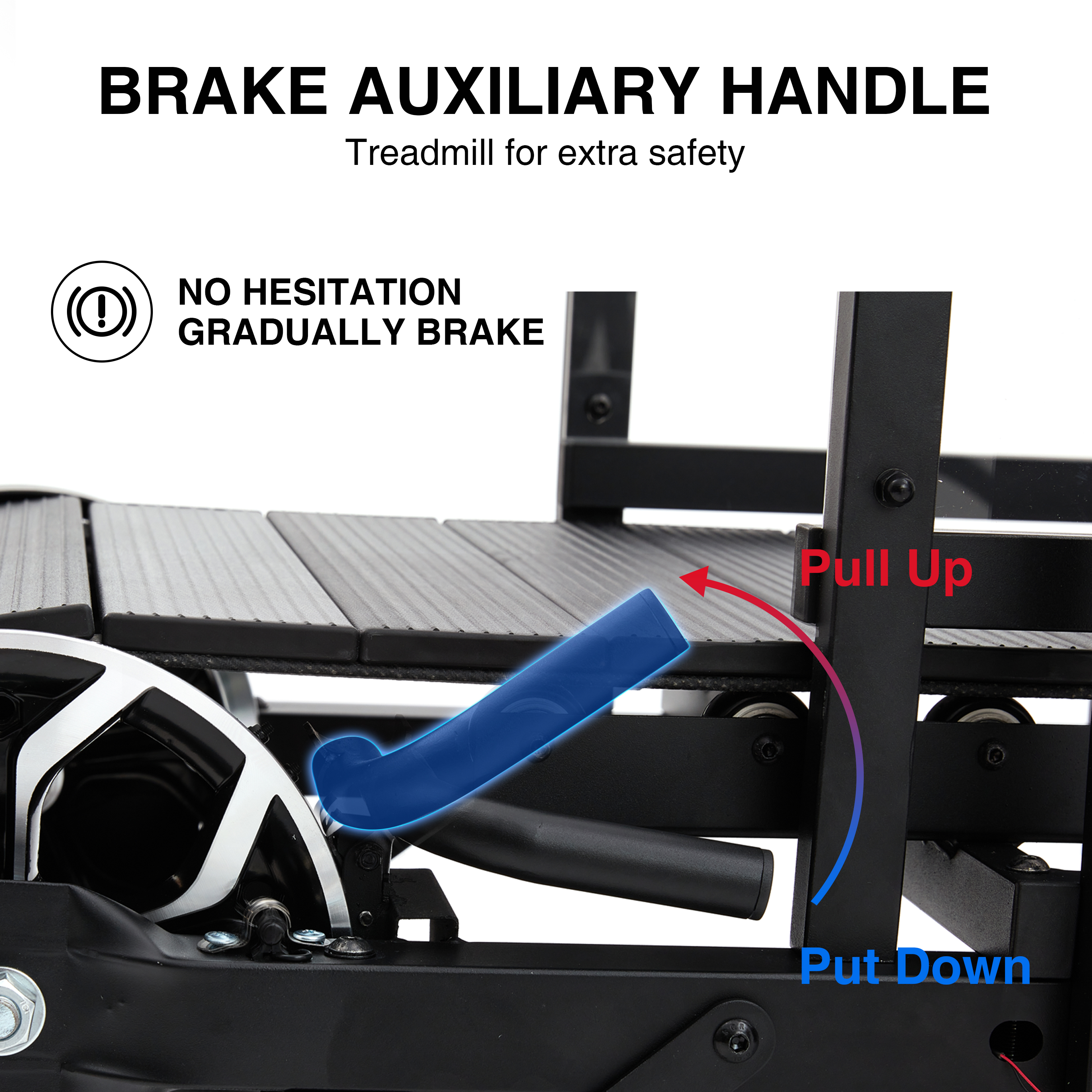 Dog Treadmill for Medium and Large Dogs