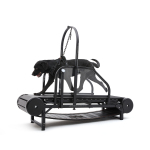 Dog Treadmill for Medium and Large Dogs