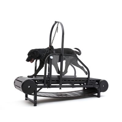 Dog Treadmill for Medium and Large Dogs 01