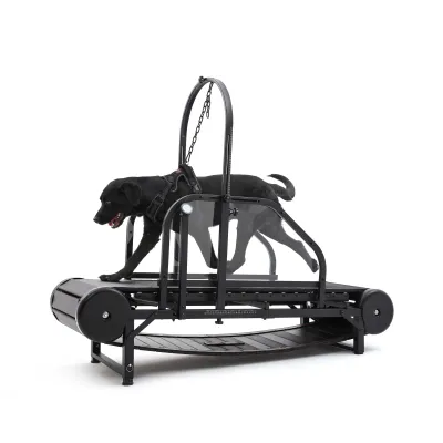 Dog Treadmill for Medium and Large Dogs 01