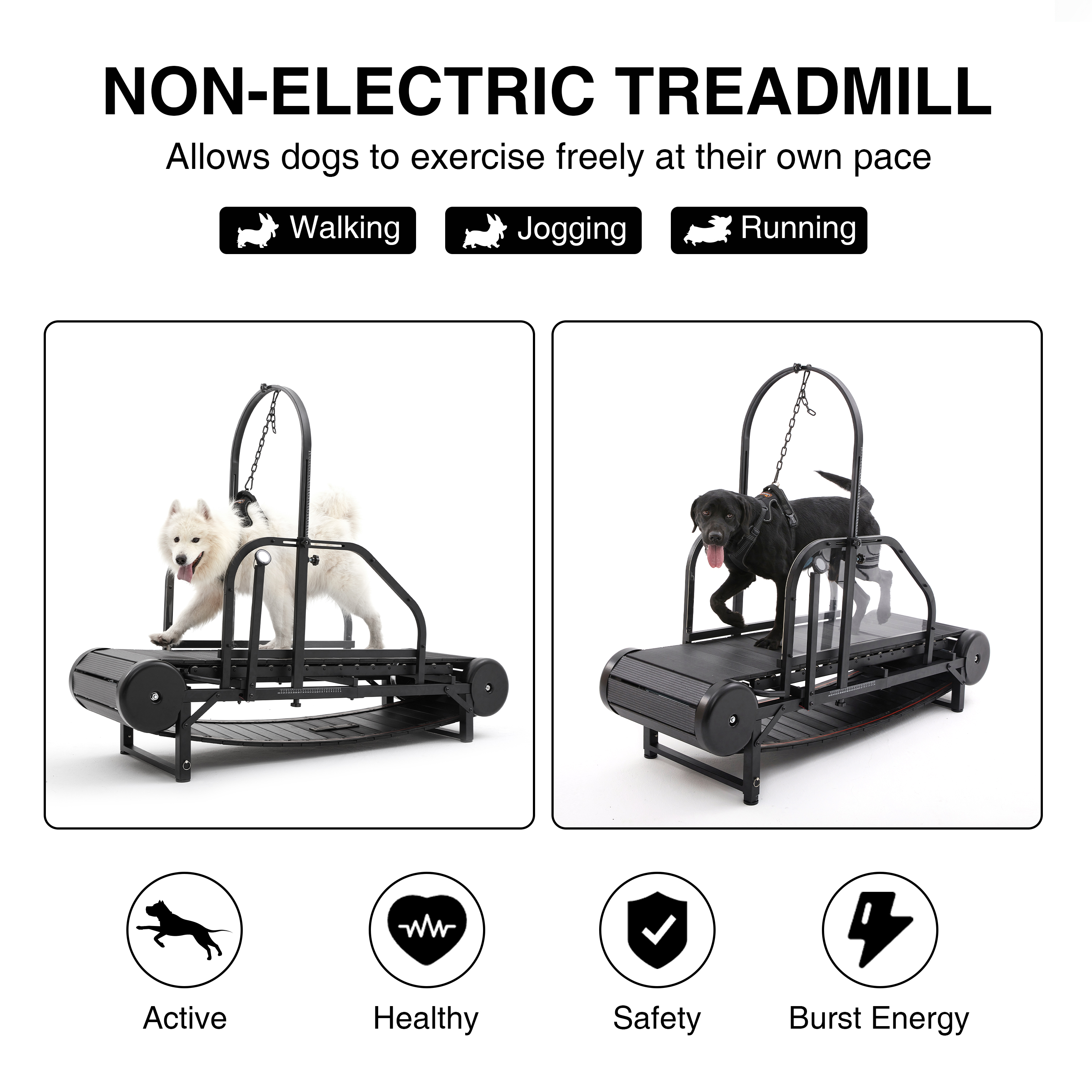 Dog Treadmill for Medium and Large Dogs Lovepluspet