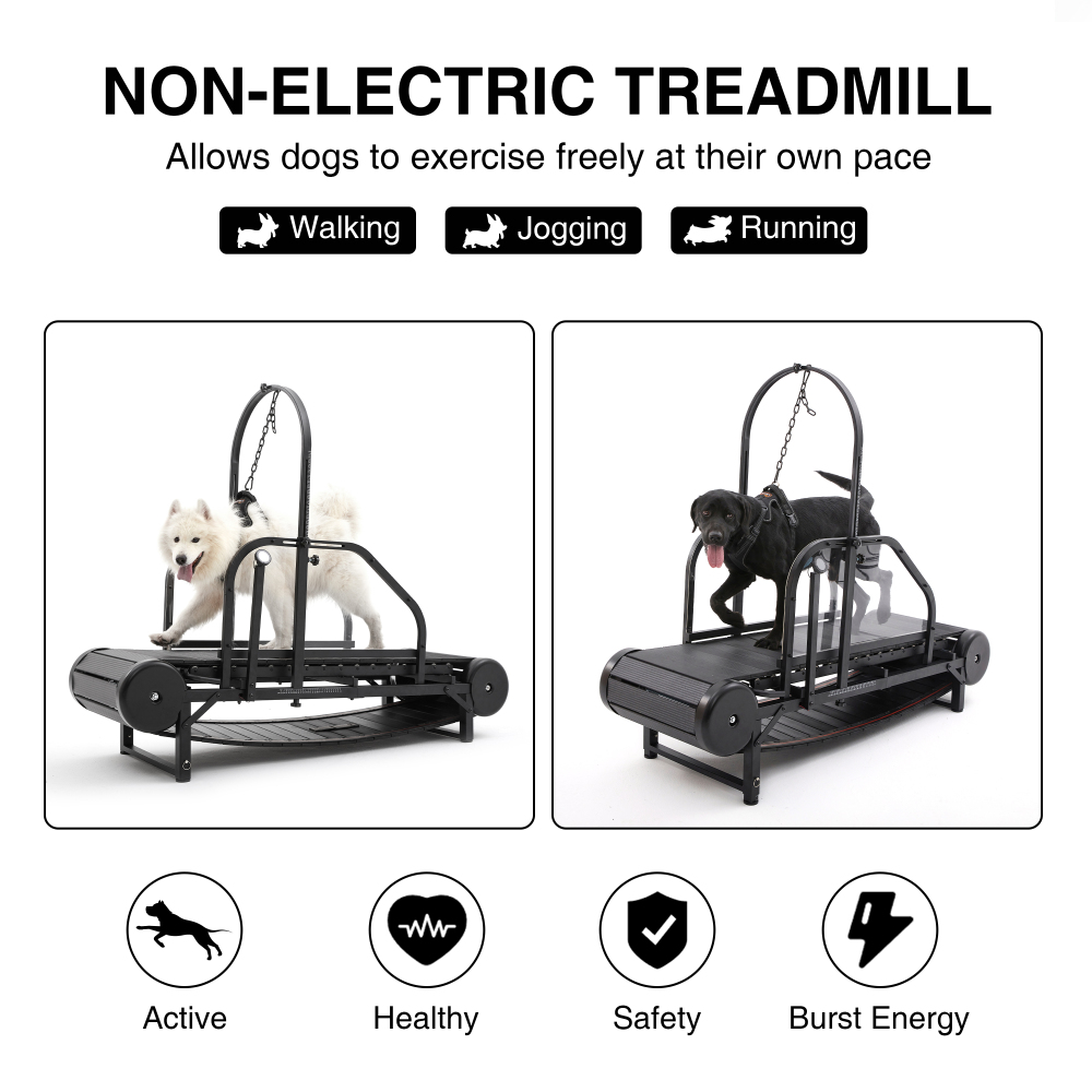 Dog Treadmill for Medium and Large Dogs