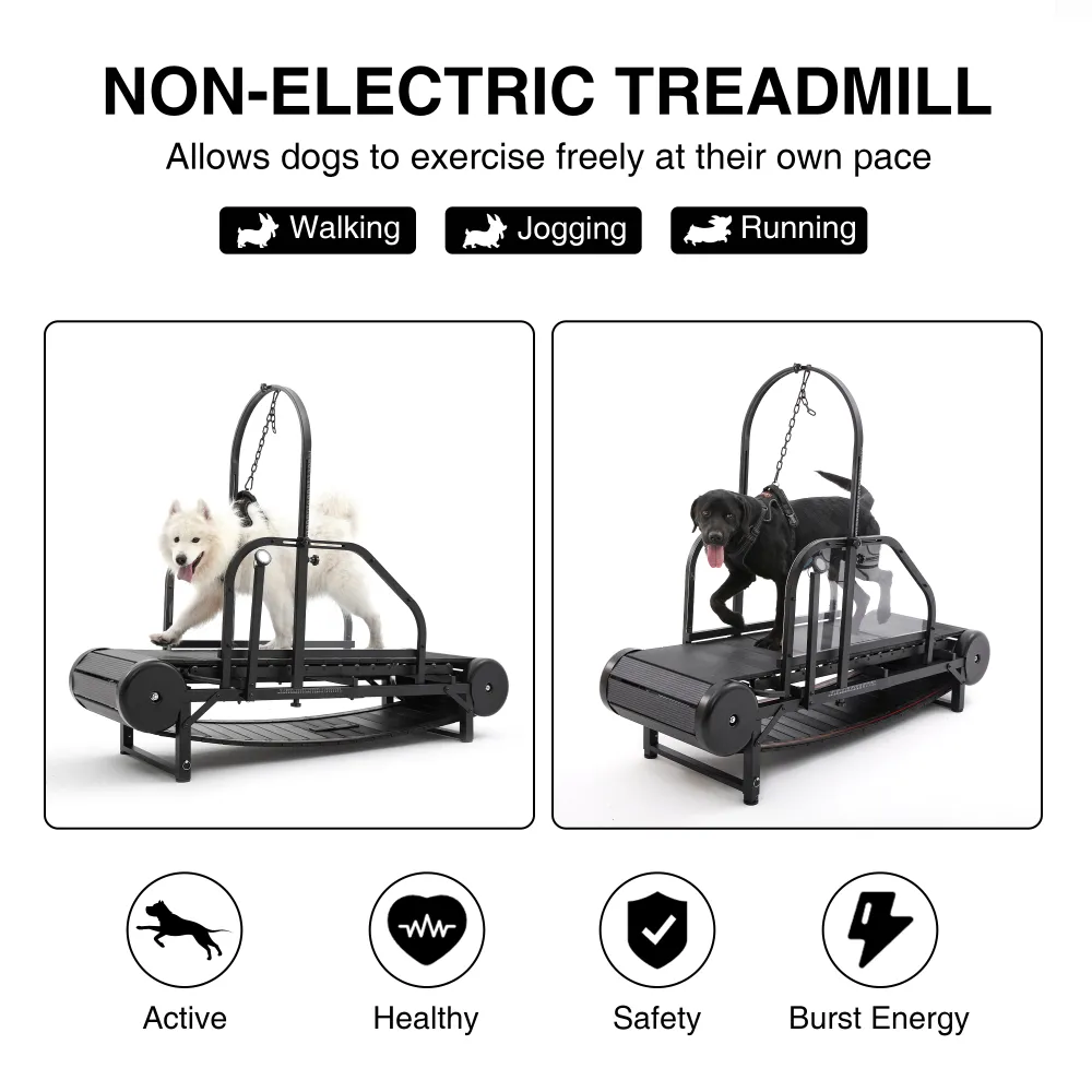 Dog Treadmill for Medium and Large Dogs