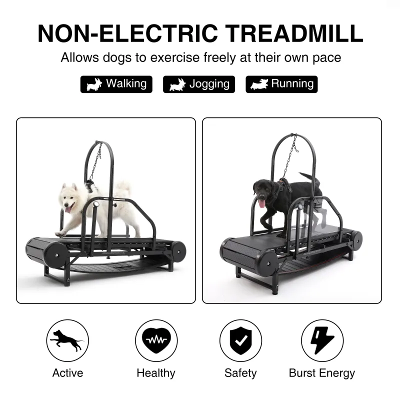 Dog Treadmill for Medium and Large Dogs