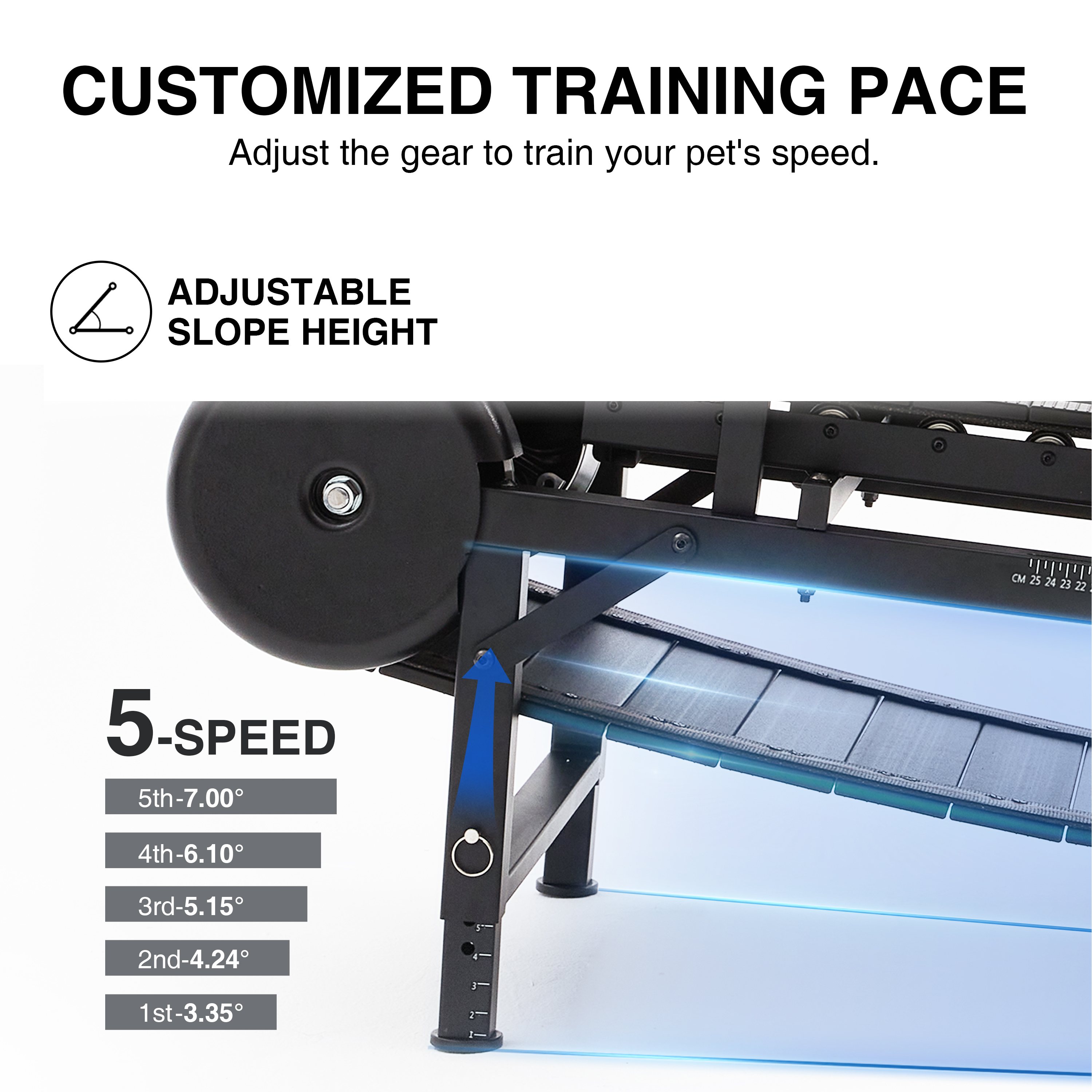 Dog Treadmill for Medium and Large Dogs
