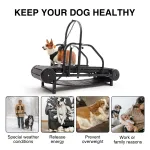 Dog Treadmill for Medium and Large Dogs
