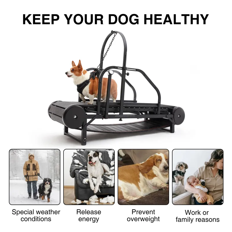 Dog Treadmill for Medium and Large Dogs