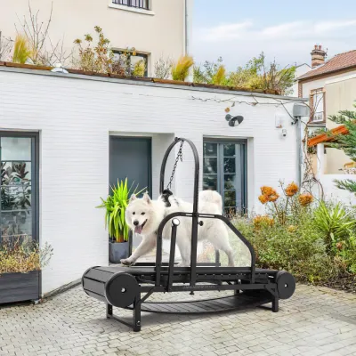 Dog Treadmill for Medium and Large Dogs 02