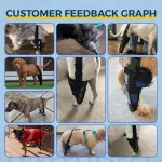 Hinged Dog Leg Brace