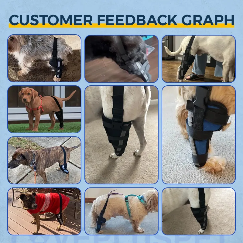 Hinged Dog Leg Brace