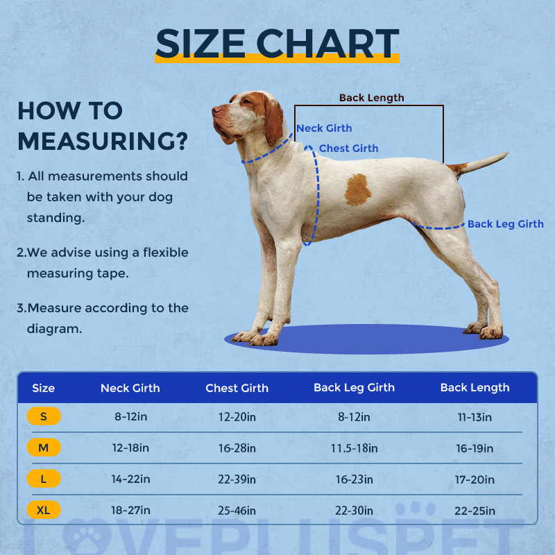 Dog Back Brace for IVDD