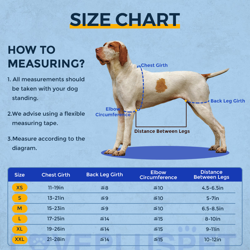 Dog Lift Harness with Handle