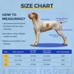 Dog Torn Acl Brace
