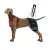 Hip Brace for Dogs with Hip Dysplasia