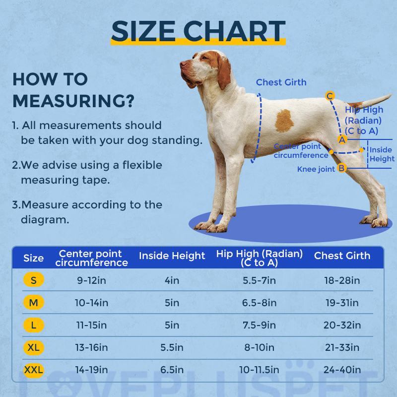 Hip Brace for Dogs with Hip Dysplasia