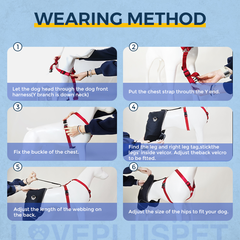 Hip Brace for Dogs with Hip Dysplasia