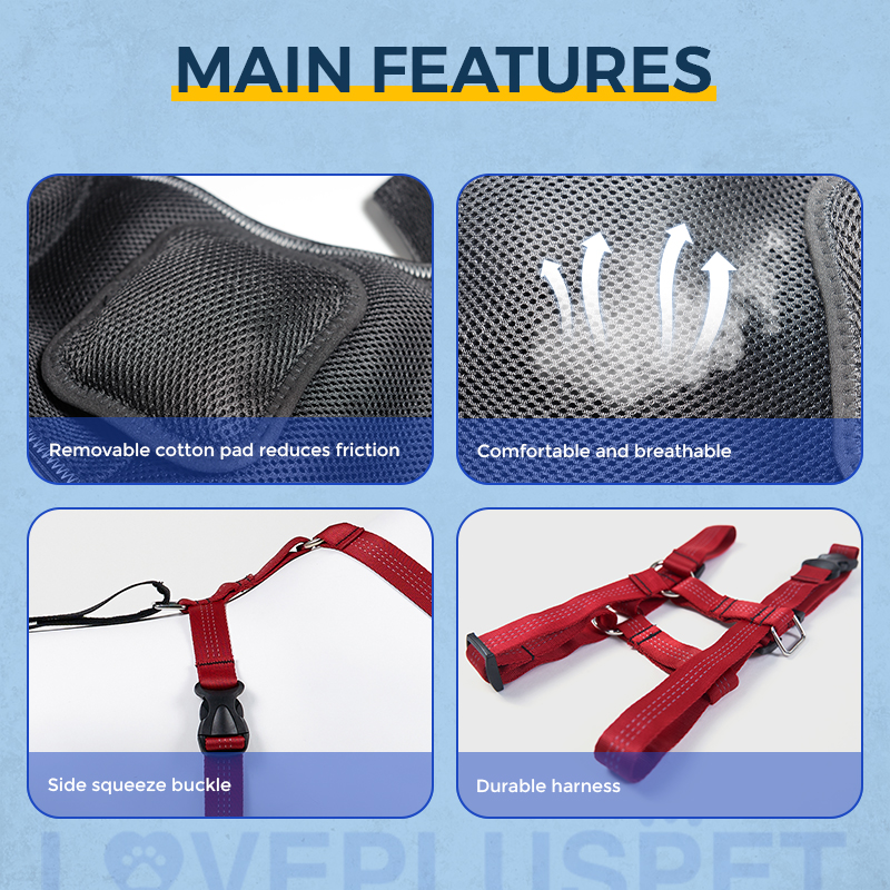 Hip Brace for Dogs with Hip Dysplasia