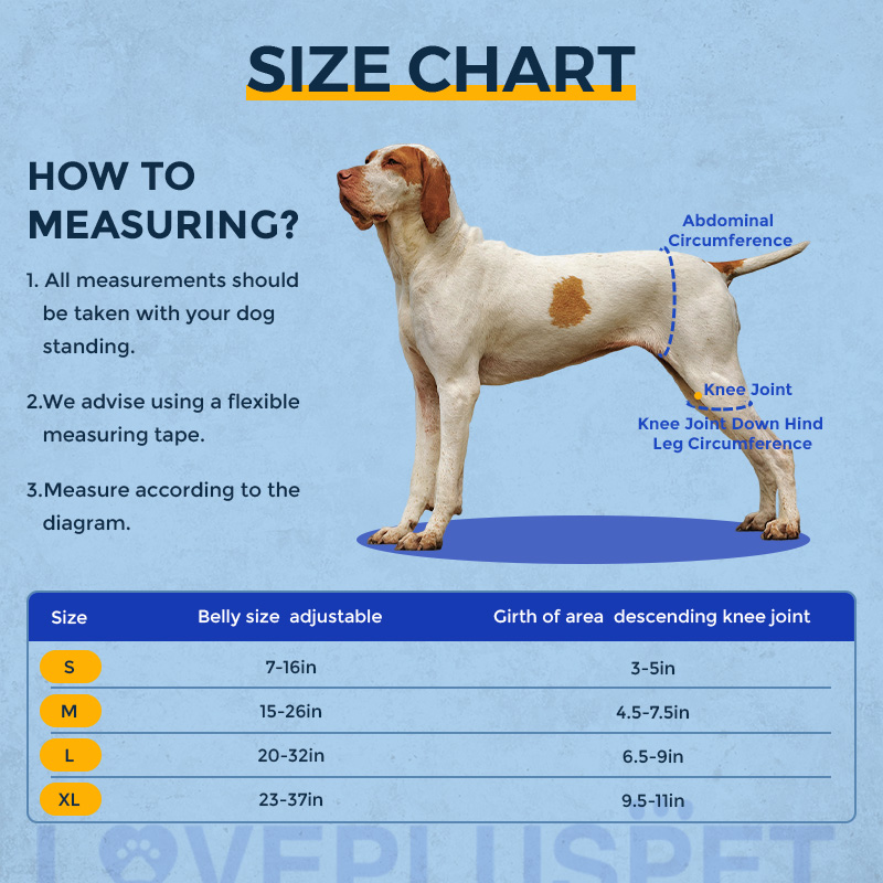 Dog Hip Brace for Hind Leg