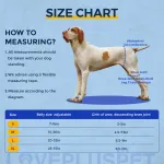 Dog Hip Brace for Hind Leg
