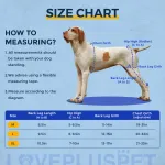 Dog Knee Brace for Torn Acl Leg