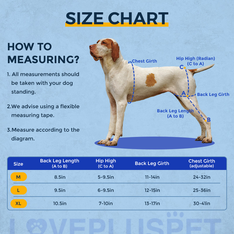 Dog Knee Brace with Metal Splint Hinge Support for ACL