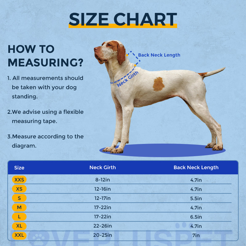 Dog Neck Brace for Dogs Neck Pain