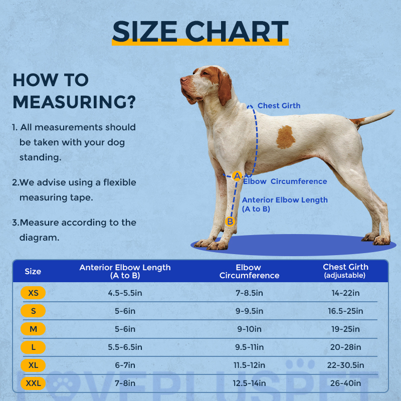 Labrador Dog Elbow Protector Support Brace