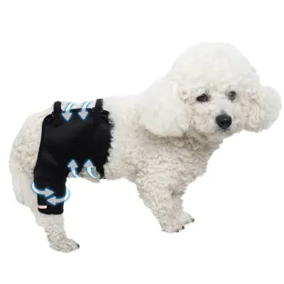 Dog Hip Hound Brace 01
