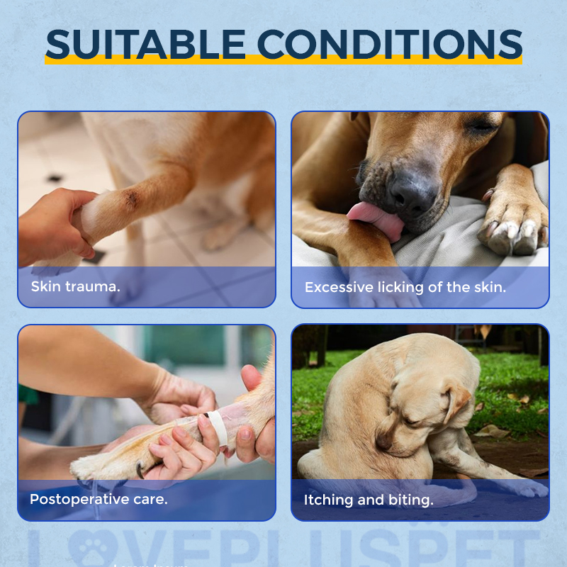 Licking Sleeve for Dogs