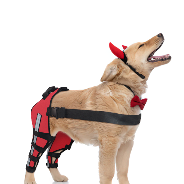 Hinged Dog Double Leg Brace Red