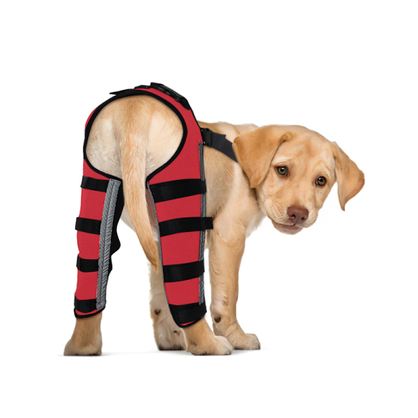 Hinged Dog Double Leg Brace Red