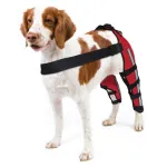 Hinged Dog Double Leg Brace Red