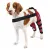 Hinged Dog Double Leg Brace Red