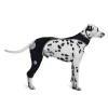 Licking Sleeve for Dogs Hind Leg