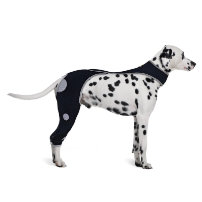 Licking Sleeve for Dogs Hind Leg 01