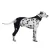 Licking Sleeve for Dogs Hind Leg