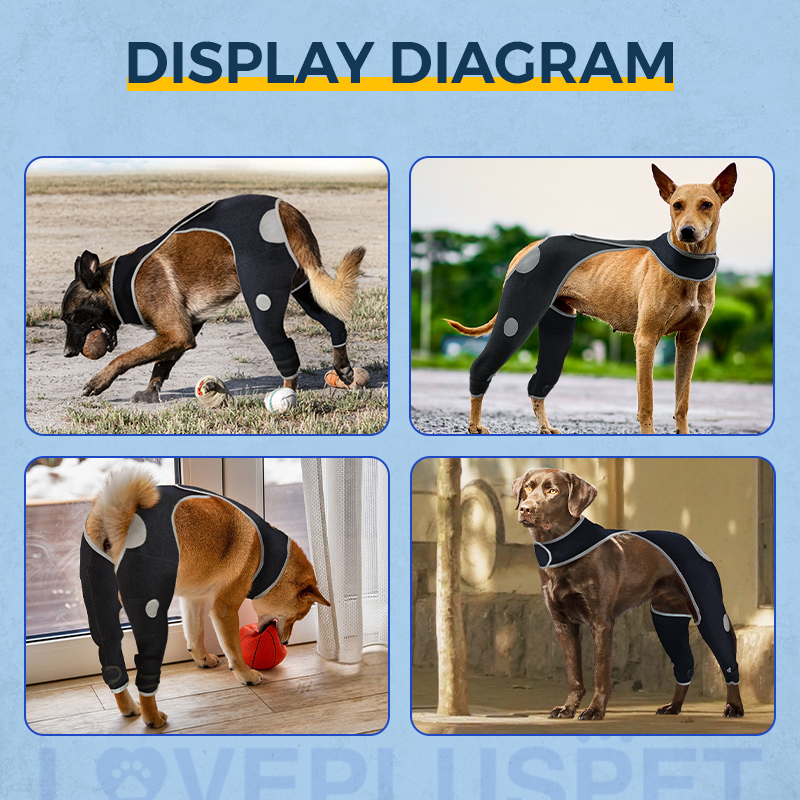 Licking Sleeve for Dogs Hind Leg