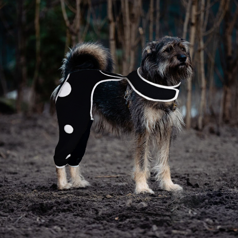 Licking Sleeve for Dogs Hind Leg