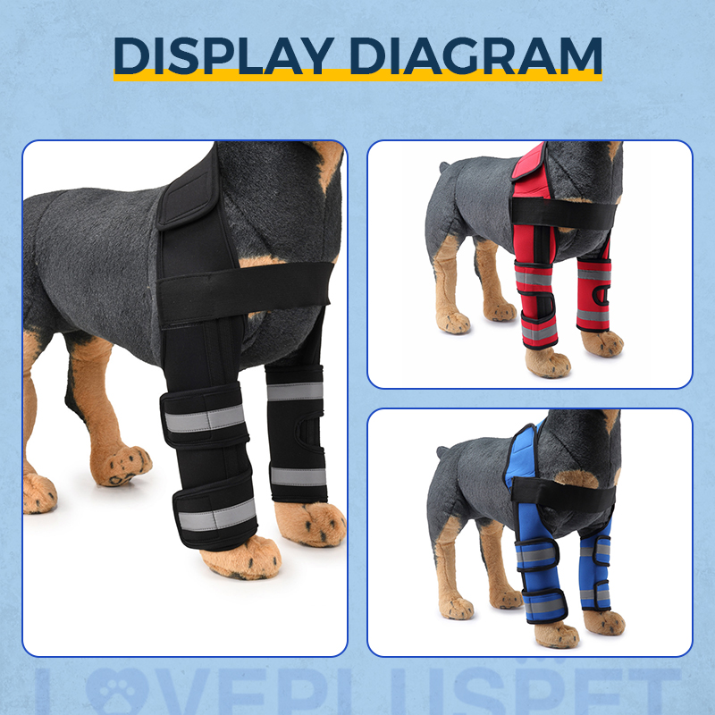 Hinged Dog Shoulder Support Brace