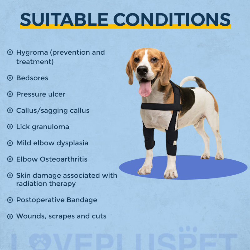 Hinged Dog Shoulder Support Brace