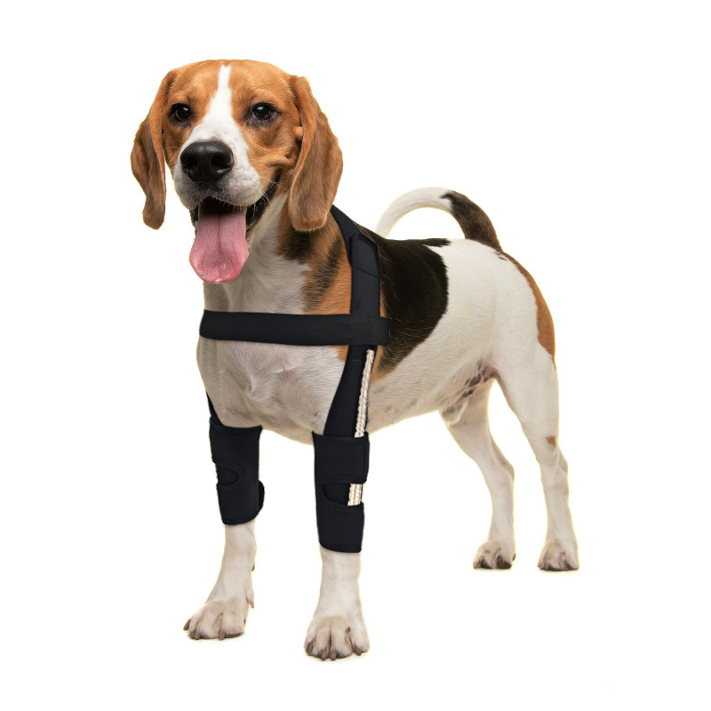 Hinged Dog Shoulder Support Brace