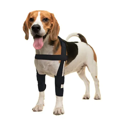 Hinged Dog Shoulder Support Brace 02