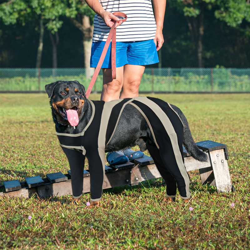 Licking Sleeve for Dogs