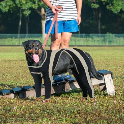 Licking Sleeve for Dogs 02