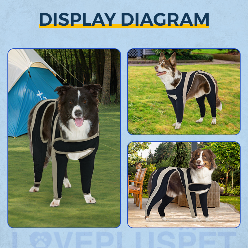 Licking Sleeve for Dogs